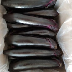 경기도 여주 가지 3개 굵어요