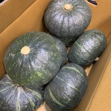 국산 단호박