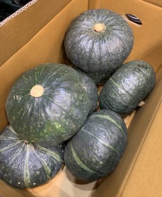 국산 단호박