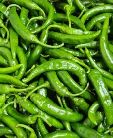 국내산 청양고추 280g