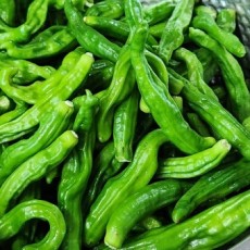국내신 꽈리고추 240g 강원도햇꽈리입니다. 