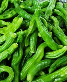국내신 꽈리고추 240g 강원도햇꽈리입니다. 