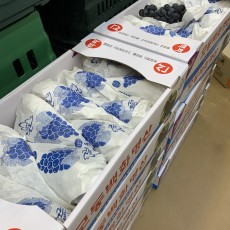 탱글탱글 캠벨포도 3kg 사이즈 : 알이커요 특사이즈