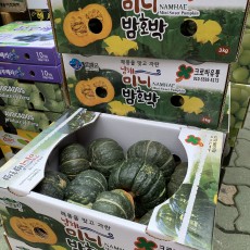 미니밤호박 7개