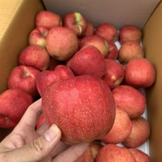 ★맛좋고깔살아있는★홍로사과 7개 ★맛보장★