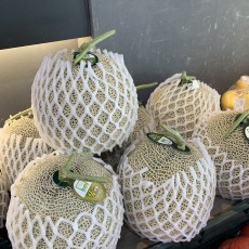 세론이 머스크 메론 맛보장 특사이즈