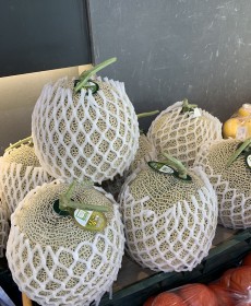 세론이 머스크 메론 맛보장 특사이즈
