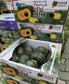 미니밤호박 7개