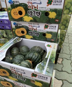 미니밤호박 3개