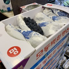 영동 캠벨포도 3kg 1박스 알굵어요~★오늘의행사★
