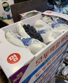 영동 캠벨포도 3kg 1박스 알굵어요~★오늘의행사★