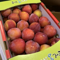 특상품도담왕자두 47~52개 5kg 1박스 엄청맛있어요.
