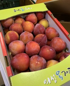 특상품도담왕자두 47~52개 5kg 1박스 엄청맛있어요.