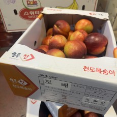 또 들어온 