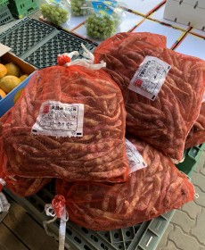 호랑이 울타리콩 2kg