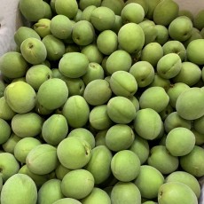 광양 청매실 5kg 왕특사이즈 짱아치용 알이커요