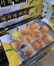 (천중도) 말랑말랑 복숭아 11~12개 4kg 1박스 ★맛보장★오늘의행사