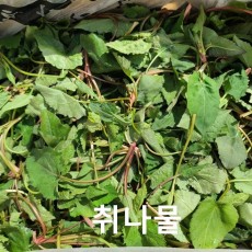 광양 산취나물 240g 자연산 노지