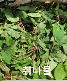 광양 산취나물 240g 자연산 노지