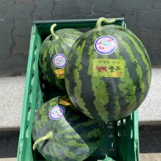 하우스 음성 수박 8kg이상 맛보장 엄청달아요!!