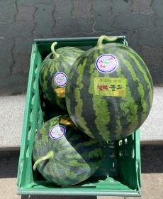 하우스 음성 수박 8kg이상 맛보장 엄청달아요!!