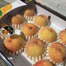 천중도 복숭아 14개 4kg 1박스 단단하면서 부드러워지는~