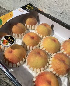 천중도 복숭아 14개 4kg 1박스 단단하면서 부드러워지는~