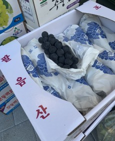 탱글탱글 캠벨포도 3kg 1박스 사이즈 : 알이커요 