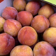 여름 꿀 자두 800g 사이즈 : 작음 맛은보장 사진과크기가달라요!!!