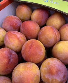 여름 꿀 자두 800g 사이즈 : 작음 맛은보장 사진과크기가달라요!!!