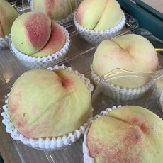 천중도 복숭아 4개 말랑말랑 ★오늘의행사★맛보장★