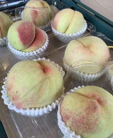 천중도 복숭아 4개 말랑말랑 ★오늘의행사★맛보장★